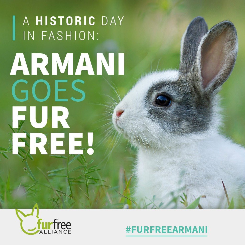 Armani Fur Free